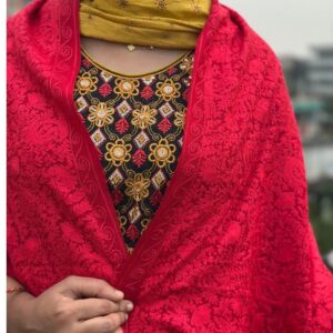 Ladies Kashmeri Pashmina Shawl